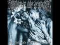 Cradle Of Filth - The Principle Of Evil Made Flesh ...