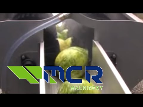 MCR Waslijn voor het wassen van meloenen