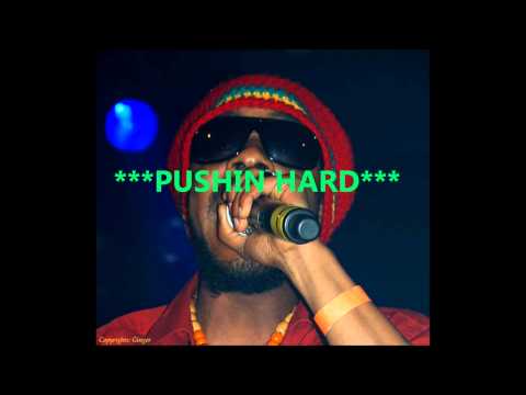 FULLANNY**BRAND NEW AUG 2011** PUSHIN HARD