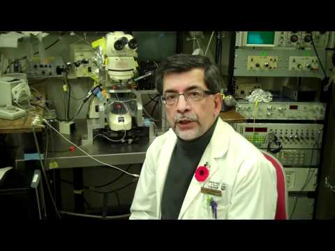 Medical researchers ID additional link between Alzheimer's and prion diseases