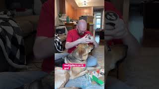 PARKS video thumbnail