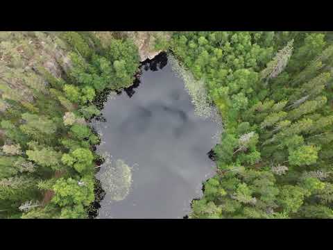 Helvetinjärvi Gorge from Above | Finland Drone Short #Shorts