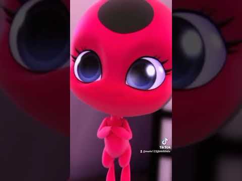 Marinette lady bug