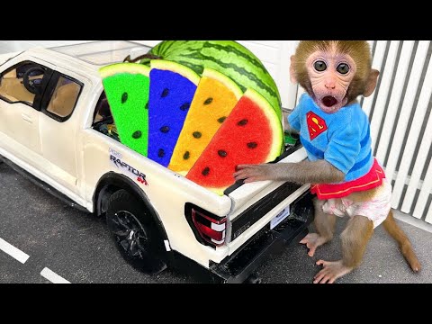 Monkey Bon Bon Drives Car Truck to Harvest Watermelon and Rescue Cute Animals | Bon Bon Indonesian
