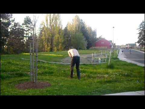 Guy Gets Tore Up In W-Town