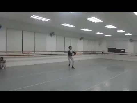 benedict mitrillo.don quixote variation