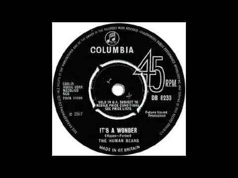 The Human Beans - It's A Wonder (1967) [RARE]