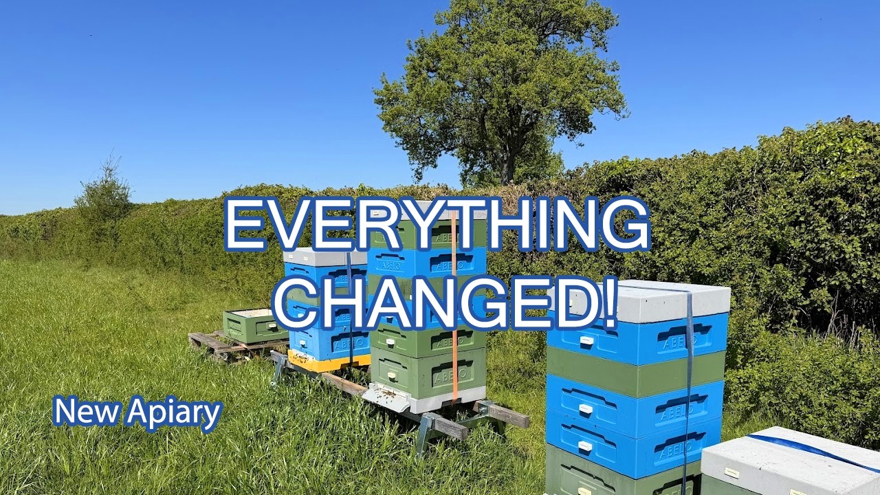 Spring Beekeeping Update | New Apiary & Overwintered Nucs