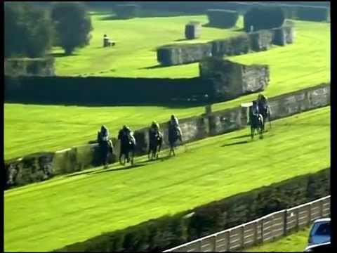 Krefeld, Rennen der B+KGroup Krefeld, 11.11.2012 - Siegerin: Romanella