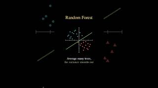 More Trees Won't Fix Your Random Forest