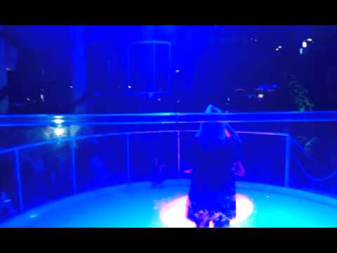 Shelley Nelson Pa of Something In Your Eyes.