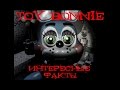 Five Nights At Freddy's интересные факты Toy Bonnie 