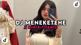 Download lagu DJ TIAP HARI BERTEMU KAMU DIAM DIAM GITU | DJ MENEKETEHE X NINIX TITANIC BOOTLEG FEBRI REMIX!!! mp3