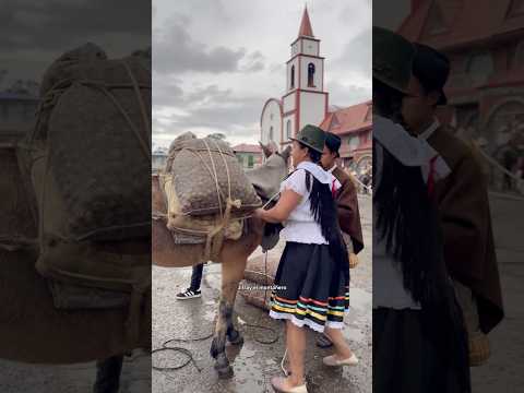 Parte 2 Mujeres arrieras de Tibana Boyaca 🐴👸🏻❤️ #arrieria