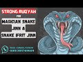 Strong RUQYAH For Magician Snake Jinn Snake Ifrit Jinn To Destroy Black Magic Of Snake Jinn