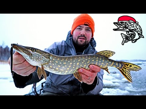 HURJASTI HAUKEA MATALASTA - EPÄONNISTUNUT MERITAIMEN KALASTUS PÄIVÄ