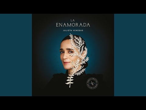 Aire En Movimiento - Julieta Venegas