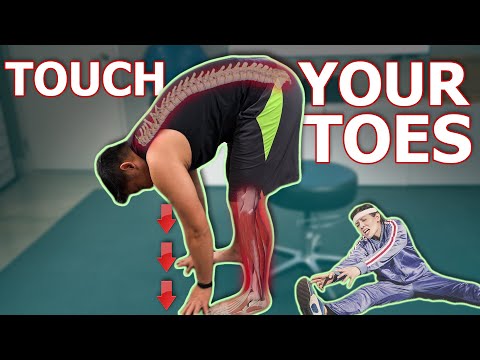 How To Touch Your Toes In 4 MINUTES! | Physical Therapist