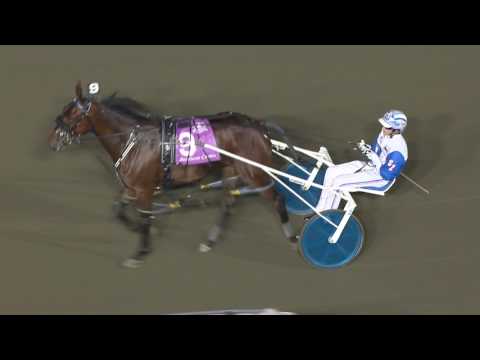 October 29, 2016 Breeders Crown 3yo Fillies Race 10