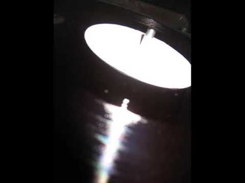 Mr lezard & Macka Diamond - Perfect mixture