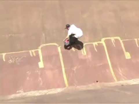 Raven Tershy destroys Australia