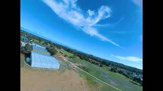 Mobula wing flight