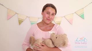 Bye Baby Bunting | Hush Little Baby Music