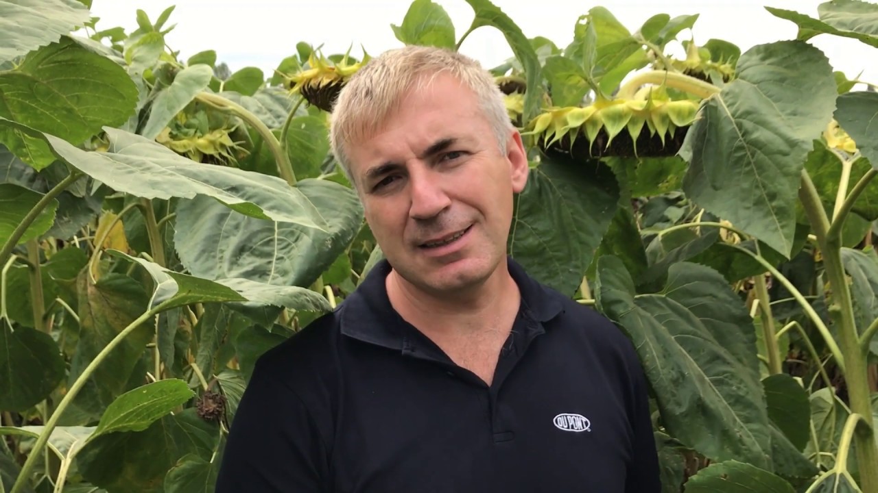 Фунгіцид Танос