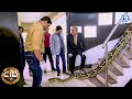 घर के अंदर मिले अजगर को कैसे पड़ेगी CID CID 
