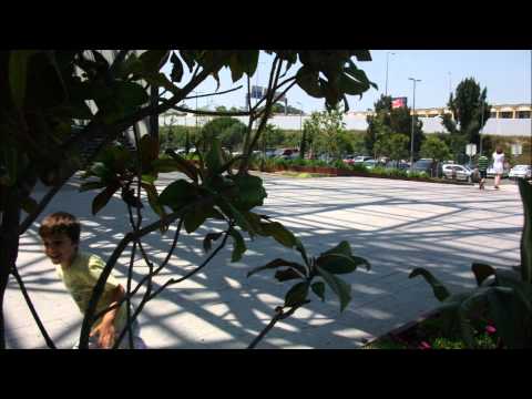 Jorge Manuel Subtil Velez