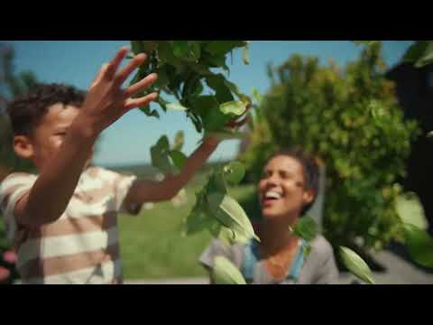 Der neue Akku-Bläser HHB 36 BXB von Honda: Leicht und komfortabel.