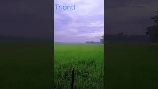 Download lagu Gambang suling/ Waljinah iringi suasana Sawah di kampung mp3 Download lagu Gambang suling/ Waljinah iringi suasana Sawah di kampung mp3