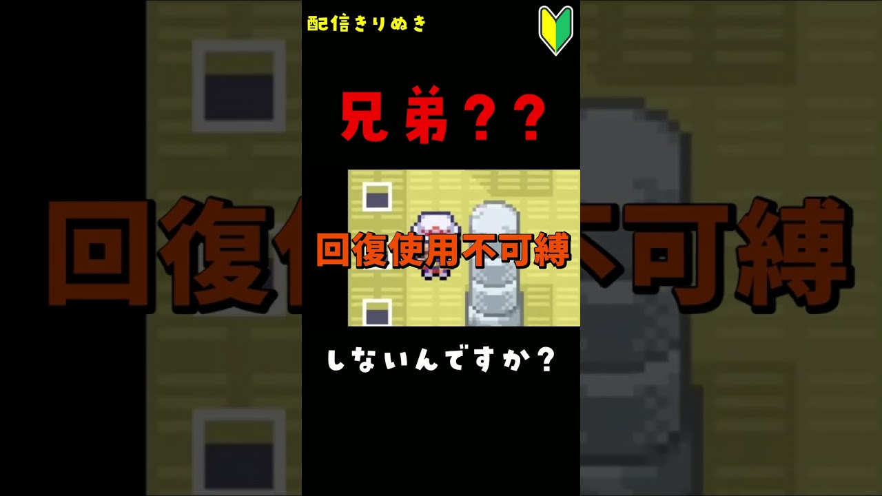 兄弟ですか？🔰