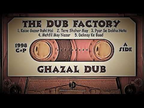 The Dub Factory ft. Ustad Ali Hafeez Khan - Kaise Guzar Rahi Hai
