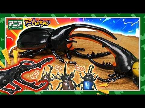 【アニア研究所】#31「昆虫界最強トーナメントでNo.1になるために！ネプチューンオオカブト＆ギラファノコギリクワガタ」【タカラトミー公式】おはなし｜バトル