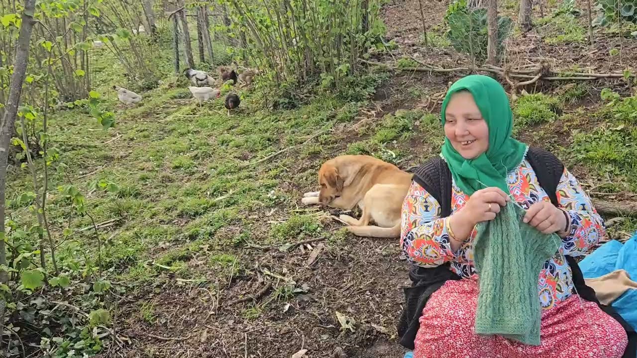 ‼️KÖYDE HAYVANLARI OTLATIRKEN SÜRPRİZ GELEN MİSAFİRLER KALABALIK AKŞAMLAR ‼️☺️☺️