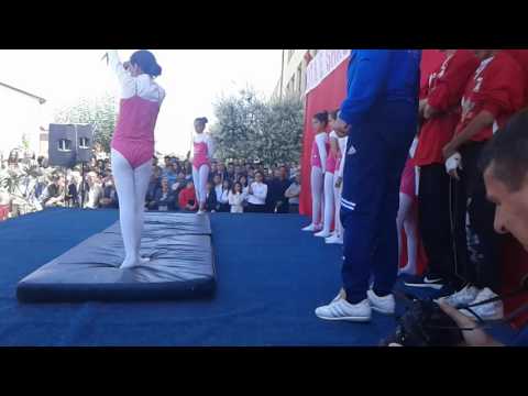 Yjet e Shkollës fillore "Halil Alidema"