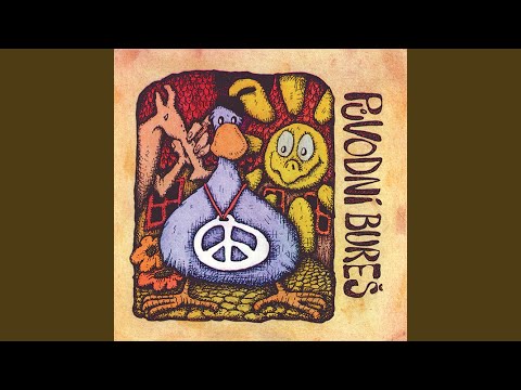 Problémy životní adaptace