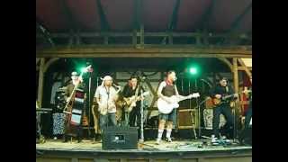 The Firebirds - Johnny B. Good