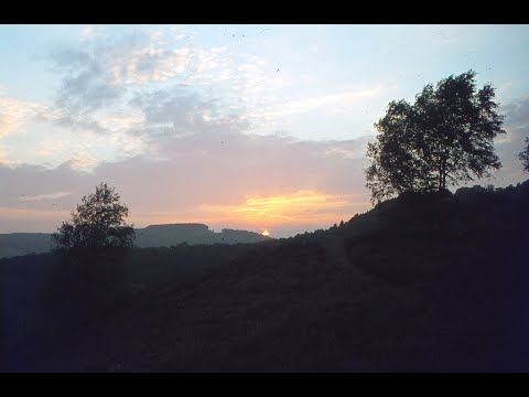 Ch.-M. Widor: Symphonie No. 8 - the largest romantic organ symphonie ever