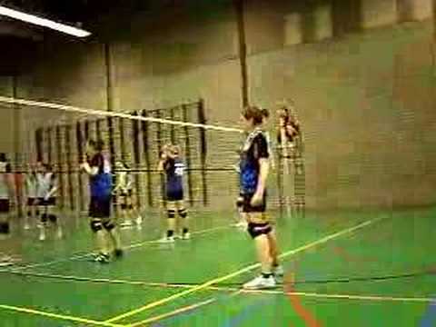 Volleybal