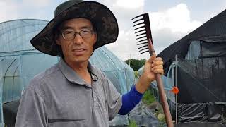 유기농 천연 영양액비 만들어 쓰는 법
