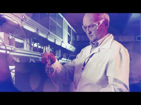 Fressfeind - Thriller von Mikael Lundt