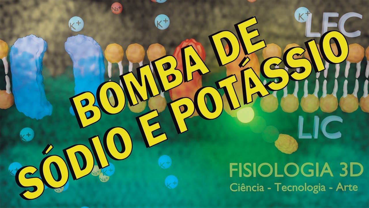 Bomba de Sódio e Potássio