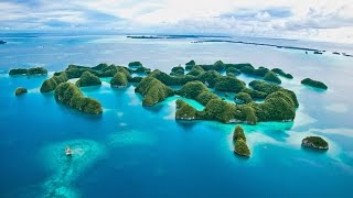 Dive Palau, This is How You Should Do It!