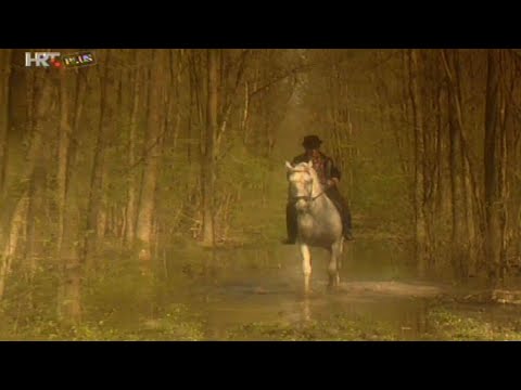 TS Kristali ~ POKRAJ STUDVE I BISTROG BOSUTA • Dani Šokadije u Zagrebu