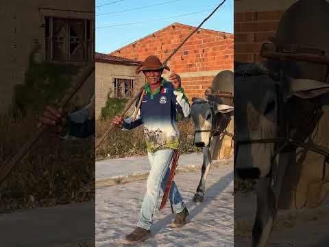 Encontro de carreiros é tradição no sertão de 6 a 7 de dezembro sítio gavião São José da tapera Al