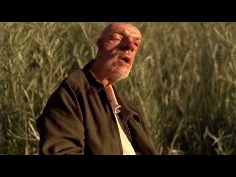 WaLtUh PuT yOuR d AwAy WaLtUh