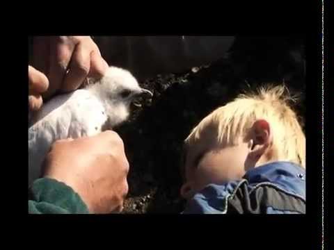 ARGOS: The Space of a Heartbit