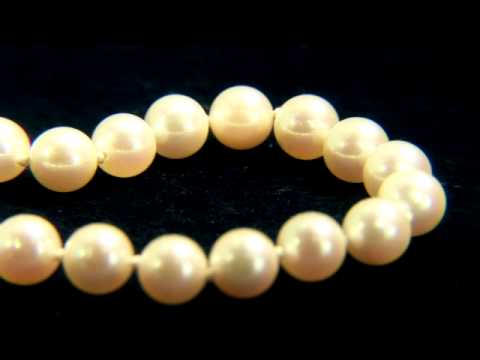 download lagu mp3 mp4 Single Pearl Bracelet Gold, download lagu Single Pearl Bracelet Gold gratis, unduh video klip Single Pearl Bracelet Gold